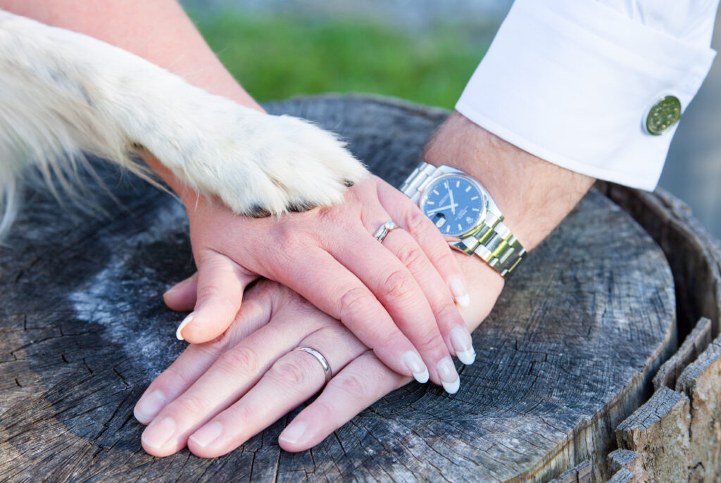 Derbyshire-Wedding-Photographer-Tickle-Photography